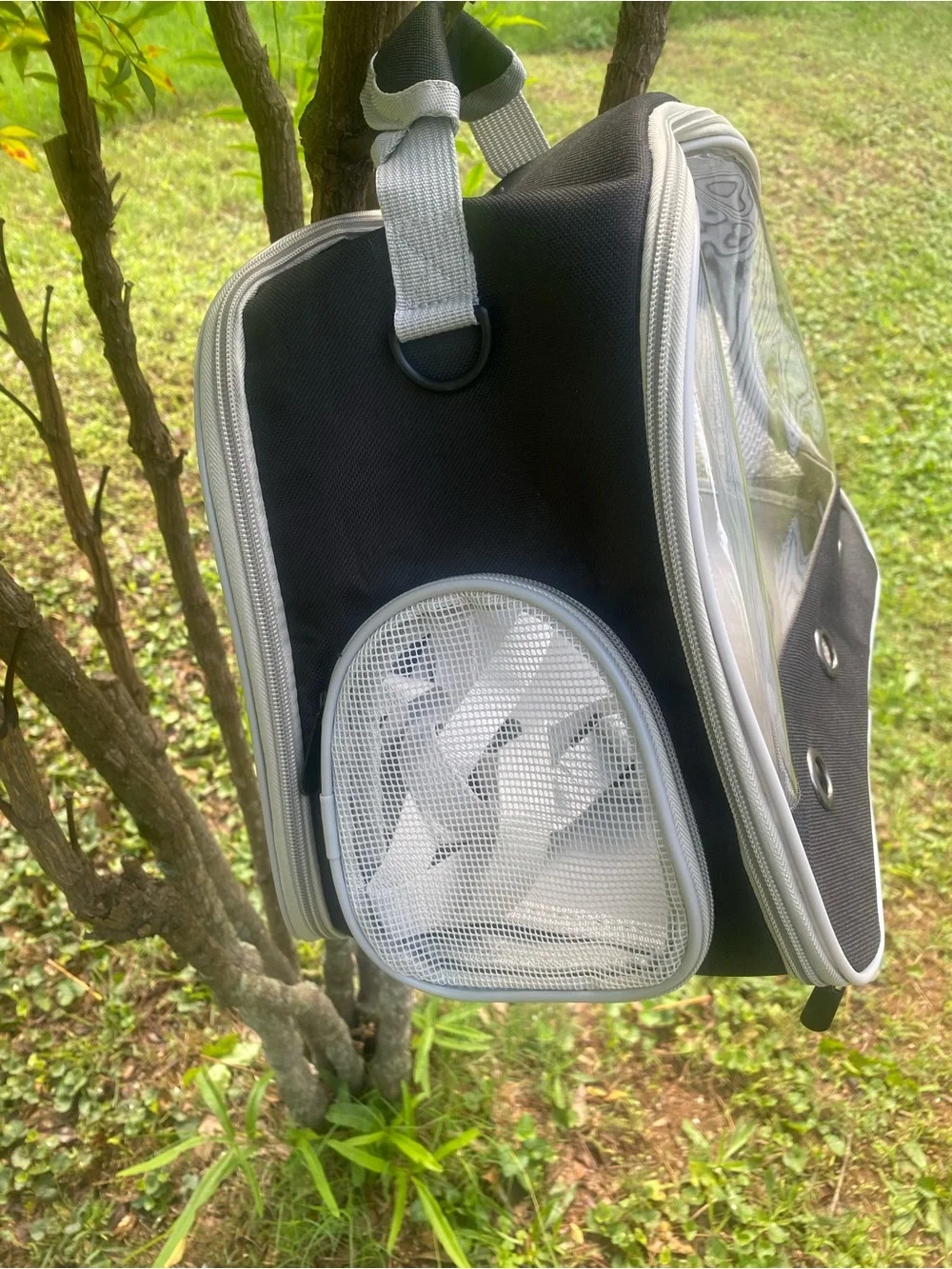 Pet carrier for small pet